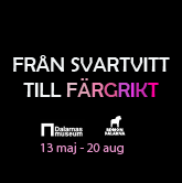Dalarnas museum